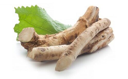 horseradish root to increase strength